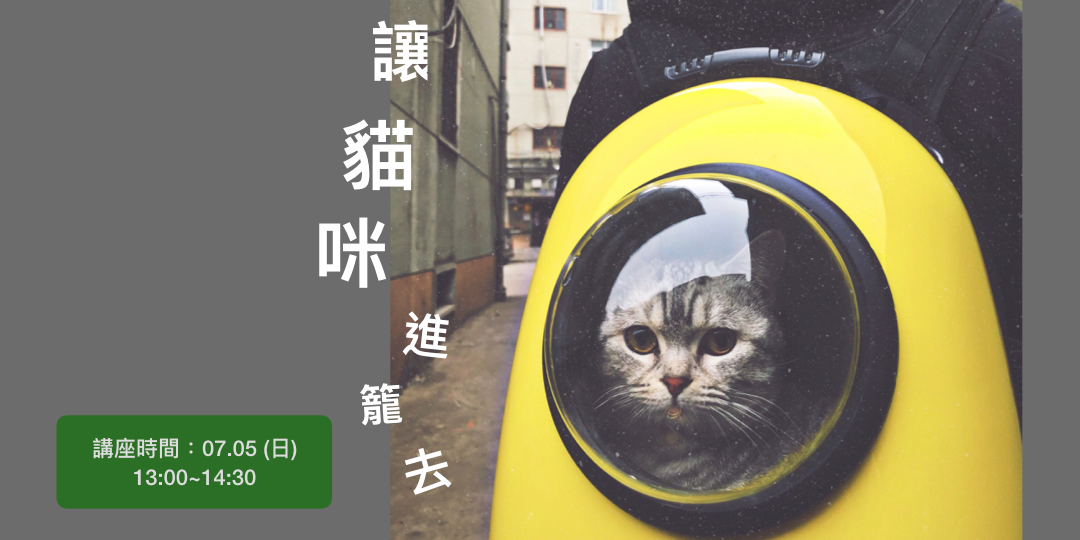 [情報/講座] 讓貓咪進籠去  台北 