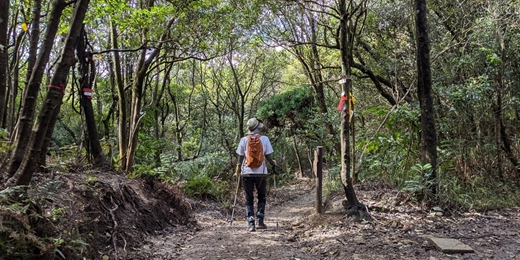 event-banner-過年剷油練走計劃A 忠勇山連走鯉魚山 新手練腿 2/19