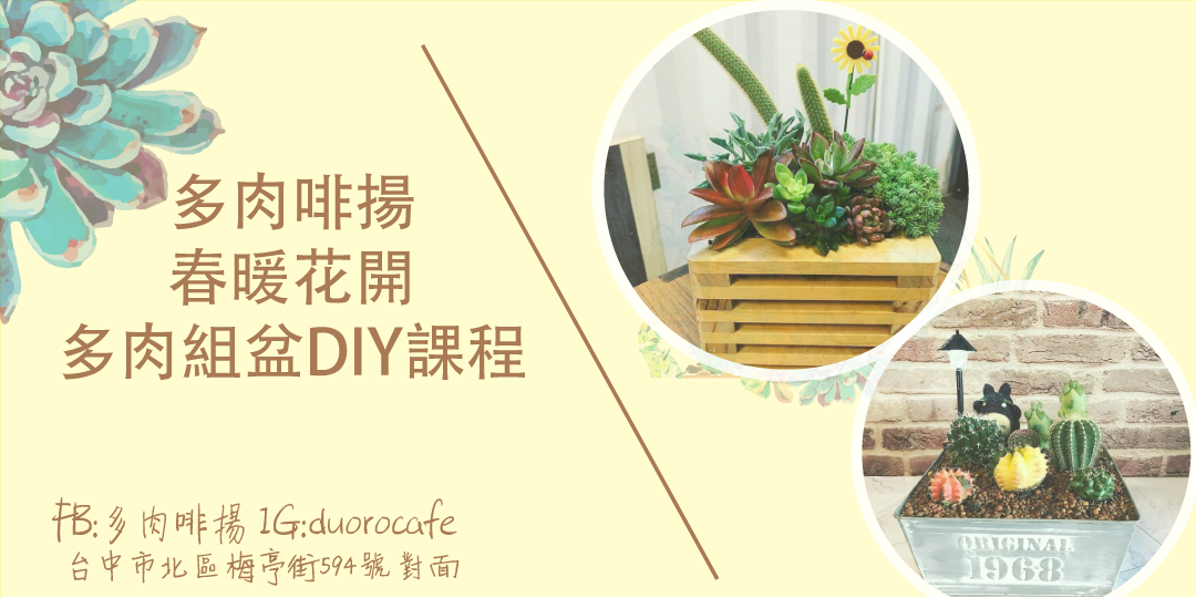 多肉啡揚 春暖花開 多肉組盆diy Accupass 活動通