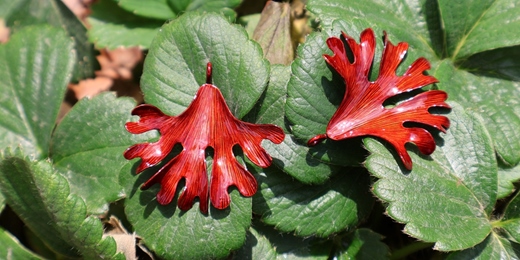 event-banner-文化幣【台南金工課程】鹿角蕨耳環/項鍊│鋼鐵女孩工作室