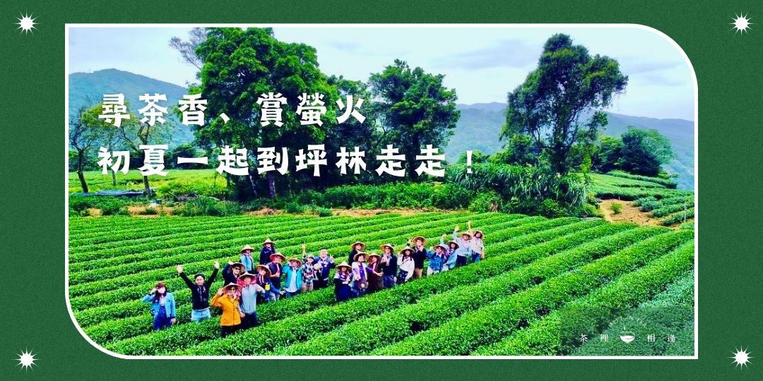 [情報] 新北坪林製茶體驗&螢火蟲生態之旅