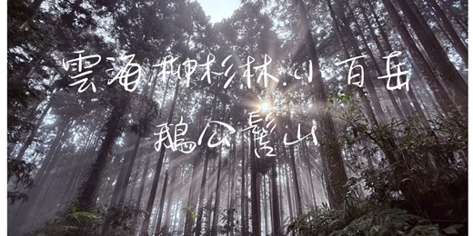 event-banner-【雲海.柳杉林】新竹小百岳．鵝公髻山┃山行旅