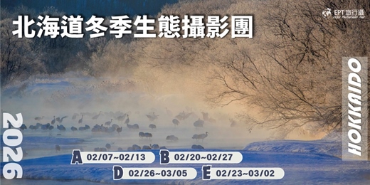 event-banner-2026｜北海道冬季生態攝影團｜專業攝影師帶隊｜A、B、C
