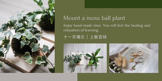 event-banner-【台北十一月場次】下班隨手作 ‖ 手作課程-上板苔球