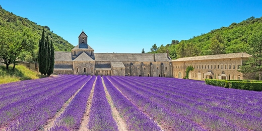 event-banner-免費講座丨南法浪漫之旅:陽光、薰衣草與紅酒的心醉之旅丨台北 1150109