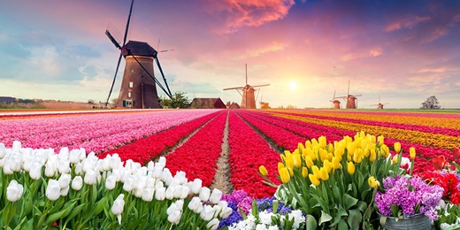 event-banner-免費講座丨荷比盧三國慢旅行:風車、城堡與巧克力的誘惑丨台北 1141205