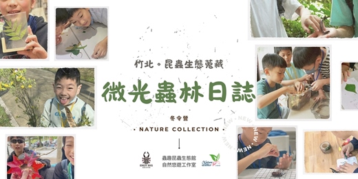 event-banner-2026 自然生態冬令營《竹北。微光蟲林日誌》｜生態探索 x 採集蒐藏 x 創意美學