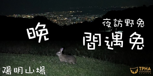 event-banner-【大人11月場】晚間遇兔 — 夜訪野兔系列 陽明山場