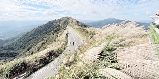 event-banner-芒花季-金芒舞秋風‧九份小旅行一日遊