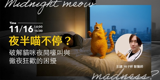 event-banner-夜半喵不停？破解貓咪夜間嚎叫與徹夜狂歡的困擾