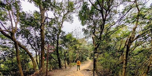 event-banner-樹鶯縱走15K 環台北天際線 01/01