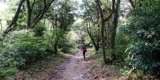 event-banner-大屯山主峰環狀6公里 11/23