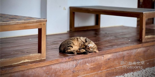 event-banner-靜心冥想