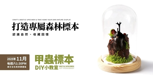 event-banner-【鹿芝谷11月】甲蟲標本DIY製作小教室｜鹿芝谷昆蟲館 × 生態DIY課程