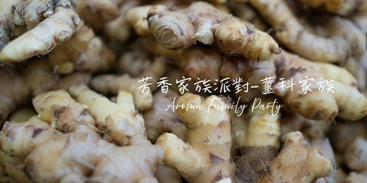 event-banner-【芳香家族派對 Aroma Family Party～薑科家族】－單堂體驗/週二週五假日場次/線上回放~芳療 香草 氣味練習