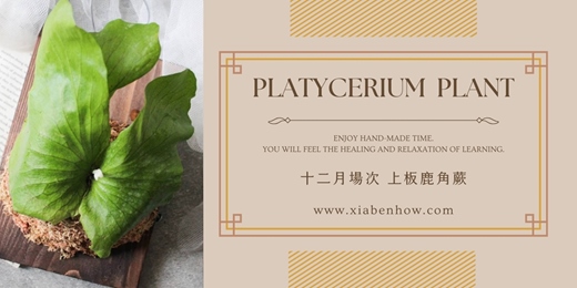 event-banner-【台北十二月場次】下班隨手作 ‖ 手作課程-上板鹿角蕨