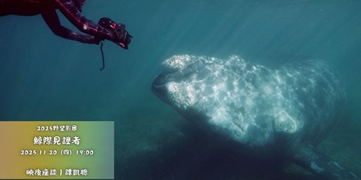 event-banner-花蓮鐵道電影院|11月 ▸▸ 小孩才做選擇 ▸▸ 野望影展・11/20 鯨際見證者