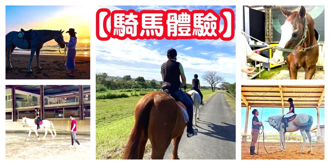 【騎馬體驗】揪團/騎馬活動 騎馬揪團 馬匹導覽 馬術教學/戶外活動 戶外體驗 團體活動/|ACCUPASS