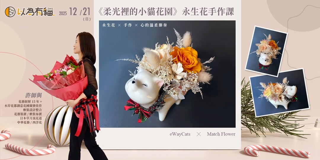 event-banner-《柔光裡的小貓花園》永生花手作課