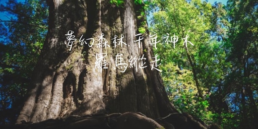 event-banner-【夢幻森林.千年神木】羅馬縱走｜山行旅