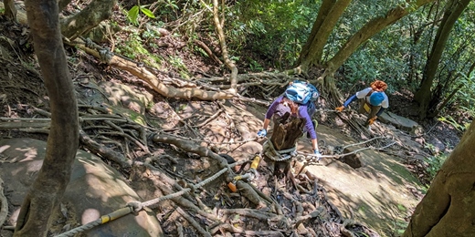 event-banner-五寮尖O型縱走!手腳並用登山新手進階村 1/31