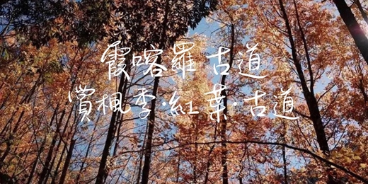 event-banner-【賞楓季·紅葉·古道】霞喀羅國家步道┃山行旅
