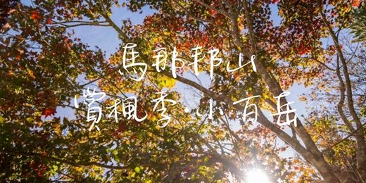 event-banner-【苗栗小百岳·賞楓·櫸木群】馬那邦山楓葉季┃山行旅