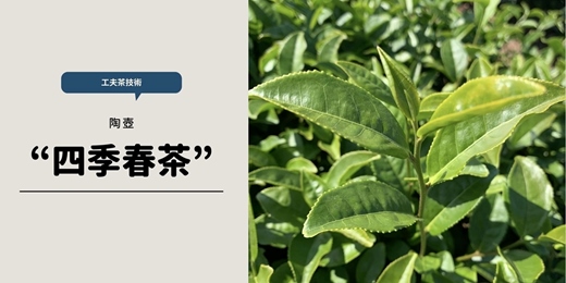 event-banner-【茶道班】百樣的四季春茶 工夫茶沖泡技術(紫砂壺入門)