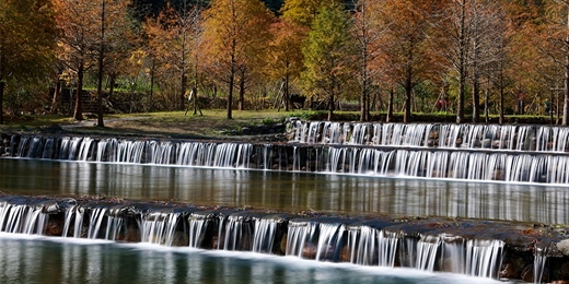 event-banner-最美落羽松三層坪一日旅拍 