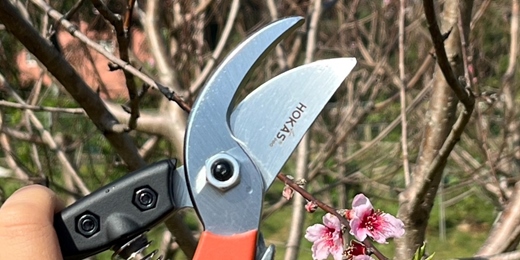 event-banner-園藝技術初階課程