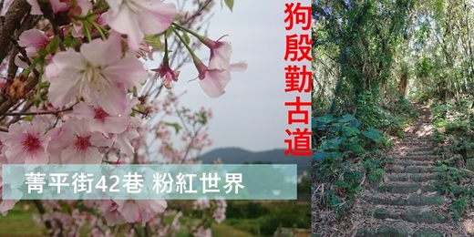 event-banner-【花見之旅】平菁街42巷 狗殷勤古道 尾崙水圳 下故宮