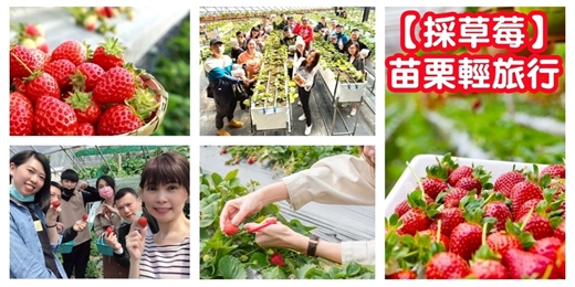 event-banner-【採草莓輕旅行】苗栗大湖採草莓/草莓農場 採草莓體驗 採草莓活動/苗栗景點 出遊 踏青