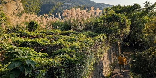 event-banner-坪頂古圳連走平菁下沙崙6K 新手推薦 2/8