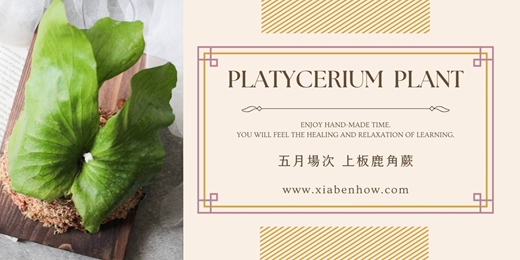 event-banner-【台北五月場次】下班隨手作 ‖ 手作課程-上板鹿角蕨