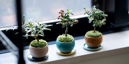 event-banner-石木花─台灣初登場!POPUP STORE