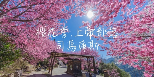 event-banner-【櫻花季·上帝部落·親子】 司馬庫斯神木群┃山行旅