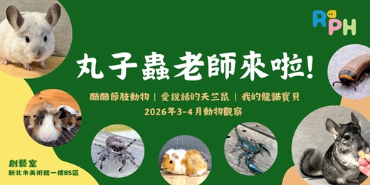 event-banner-動物觀察 l 丸子蟲老師的自然奇幻世界 (2026年3-4月)