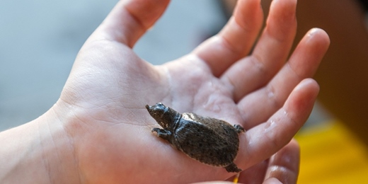 event-banner-2026鱉出來沒_ 5月散客團_P1