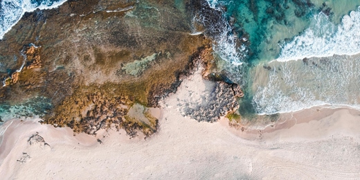 event-banner-《禧榕軒ESG永續計劃》守護海洋．淨灘