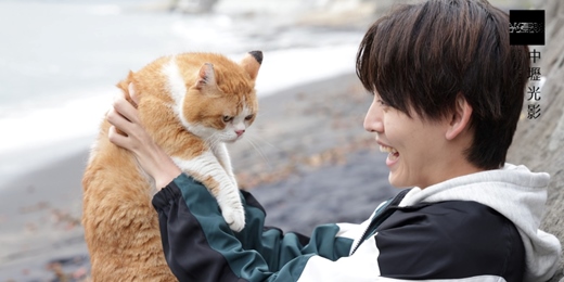 event-banner-【親親同樂會】04/17 海邊的貓咪偵探社 NEKOMIMI - Seaside Pet Detective -