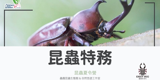 event-banner-2026 《竹北。昆蟲特務》昆蟲生態夏令營