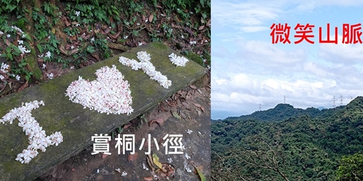 event-banner-【小百岳系列】天上山 賞桐花 五月雪