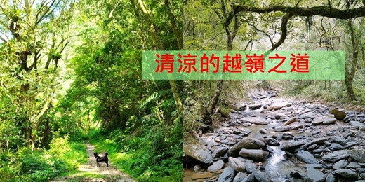 event-banner-【越嶺系列】桶後越嶺 （宜蘭進 烏來出）