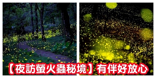 event-banner-【夜訪螢火蟲秘境】賞螢揪團 看螢火蟲/台北賞螢 螢火蟲步道 螢火蟲秘境/交友活動 出遊 賞螢活動