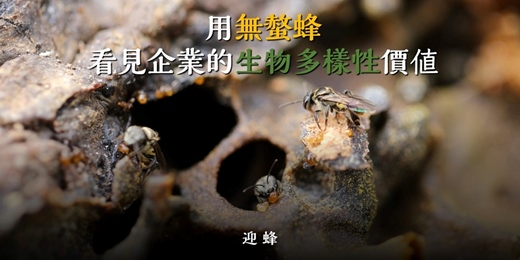 event-banner-線上分享交流會｜用無螫蜂，看見企業的生物多樣性價值