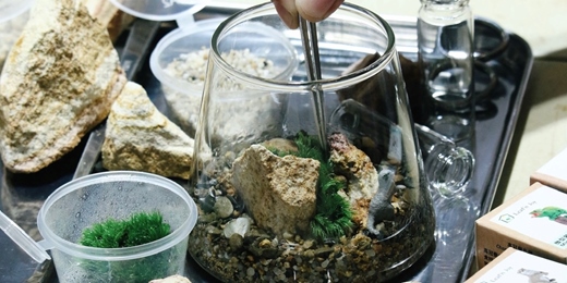 event-banner-苔森菓語茶席