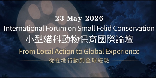 event-banner-小型貓科動物保育國際論壇：從在地行動到全球經驗 International Forum on Small Felid Conservation: From Local Action to Global