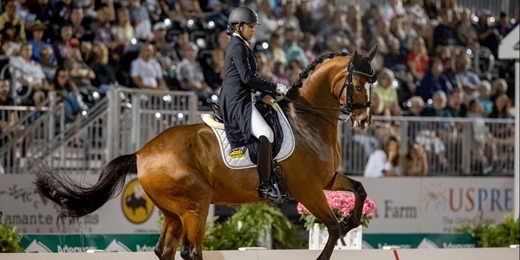 event-banner-2026國際馬術節暨馬場馬術國際交流賽