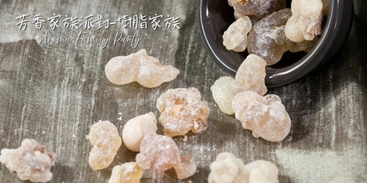event-banner-【芳香家族派對 Aroma Family Party～樹脂家族】－單堂體驗/週五假日場次/線上回放~芳療 香草 氣味練習
