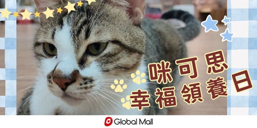 event-banner-咪可思幸福領養日